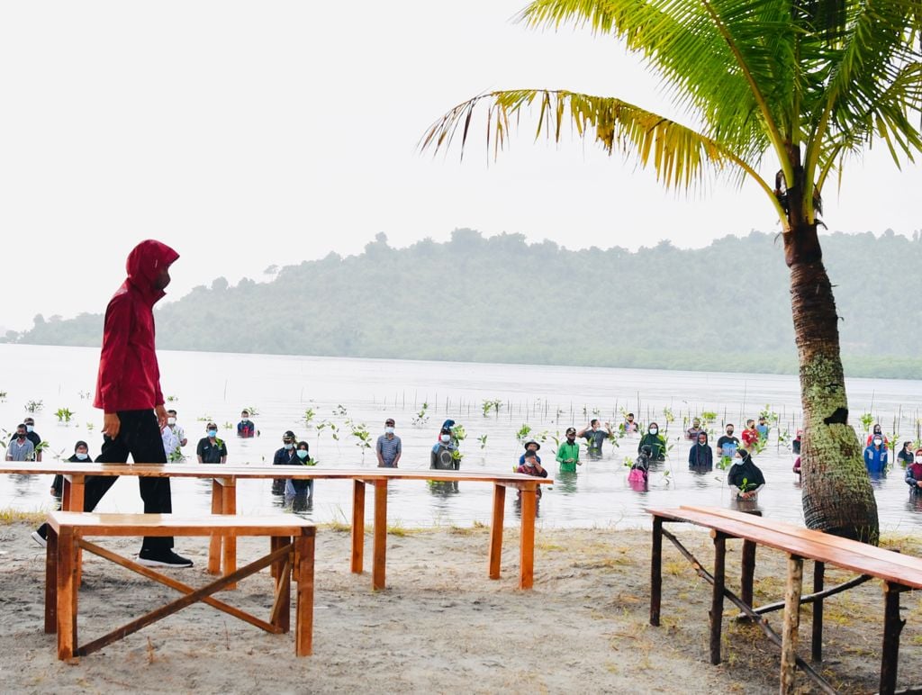 Presiden Jokowi turun langsung untuk menanam mangrove di Pesisir Setokok, Kota Batam.