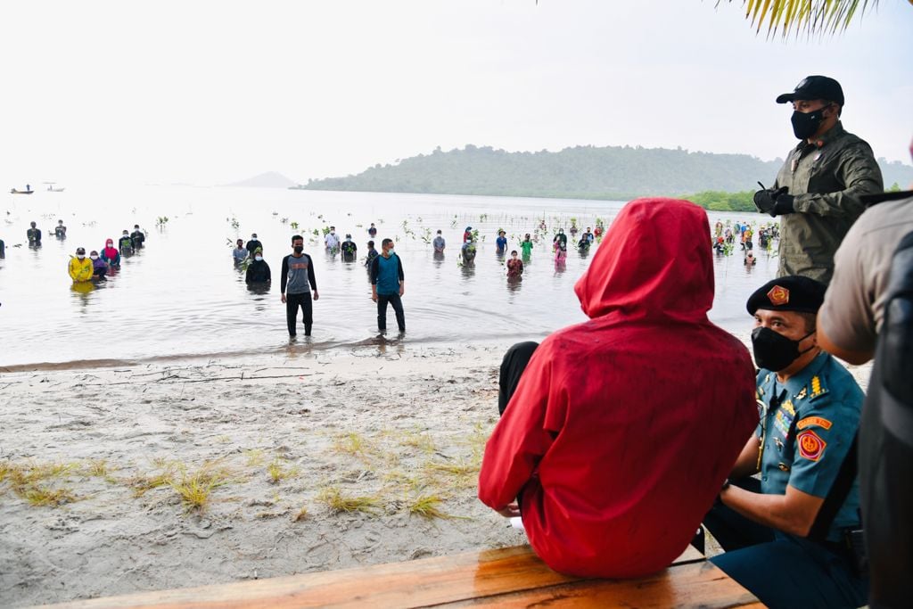 Presiden Jokowi bersiap turun ke laut untuk menanam mangrove di Pesisir Setokok, Kota Batam.