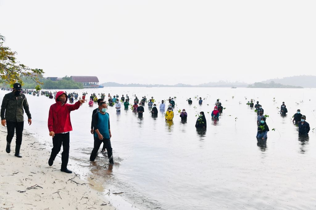 Presiden Jokowi turun langsung untuk menanam mangrove di Pesisir Setokok, Kota Batam.