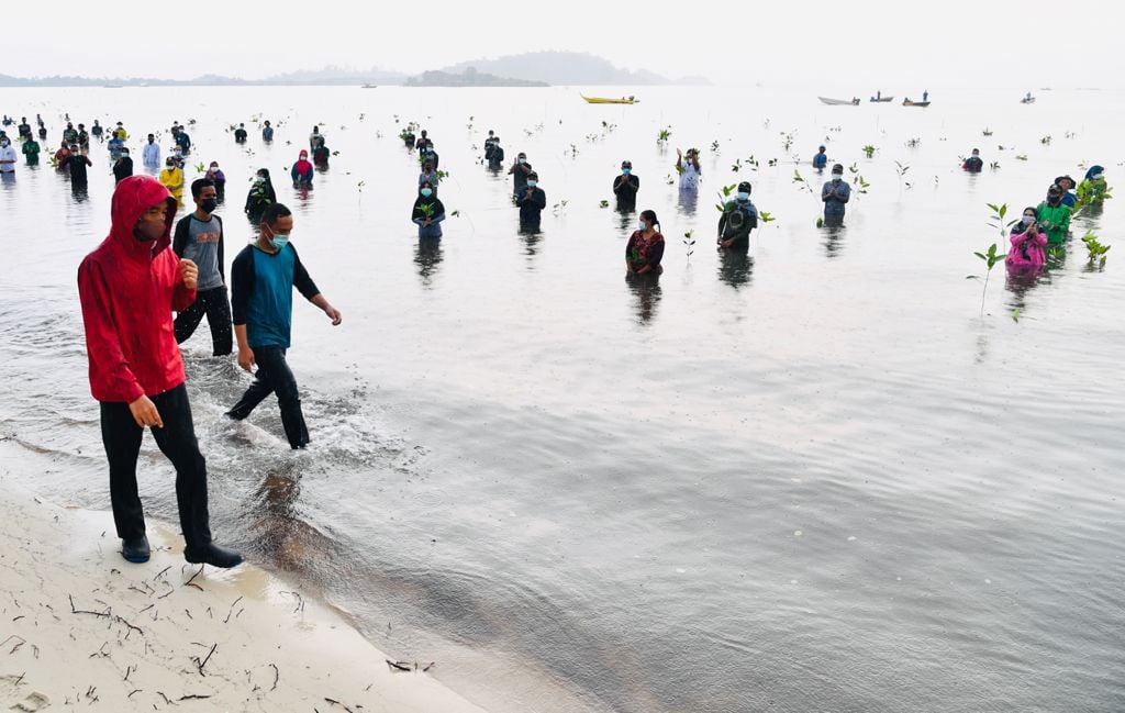 Presiden Jokowi menuju lokasi penanaman mangrove di Pesisir Setokok, Kota Batam.
