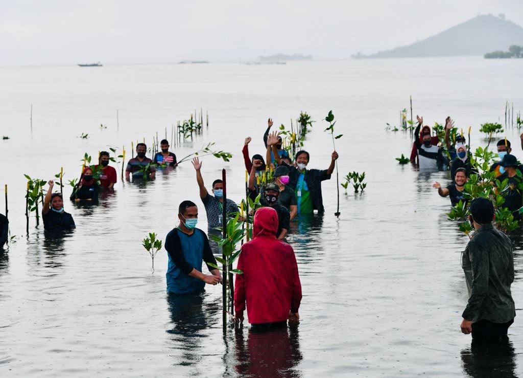 Presiden Jokowi turun langsung untuk menanam mangrove di Pesisir Setokok, Kota Batam.