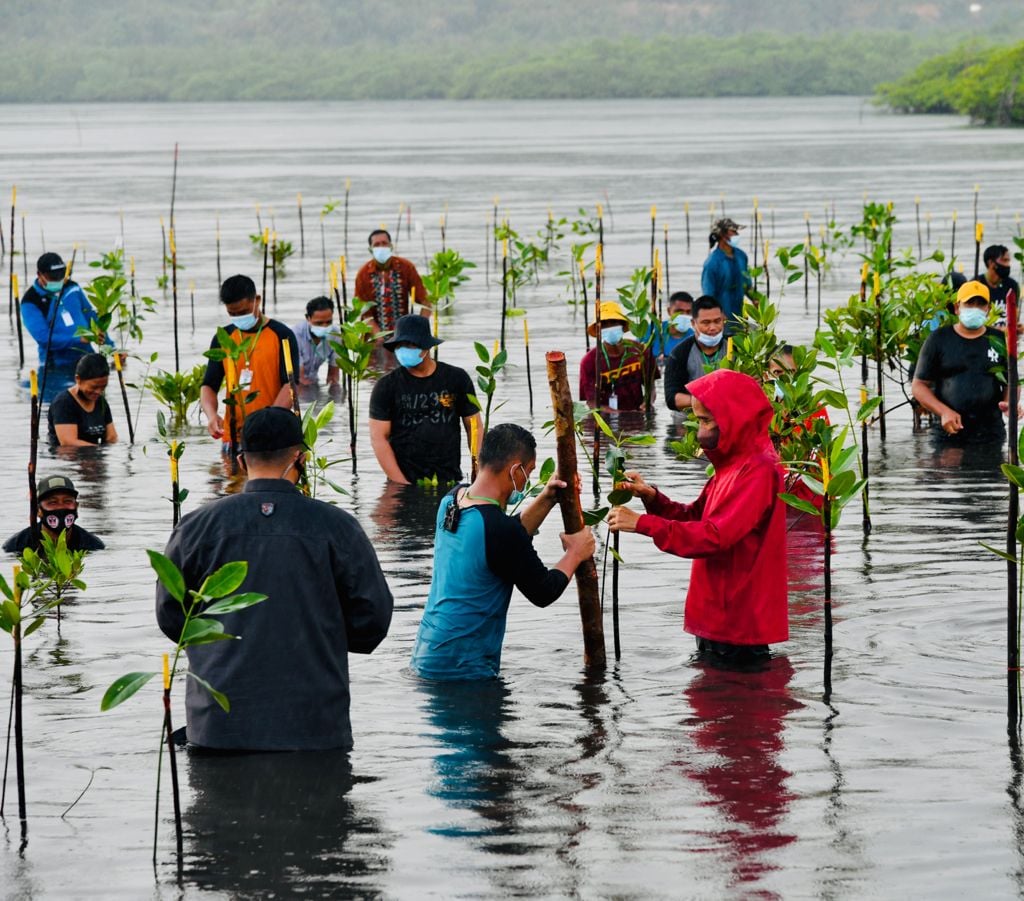 Presiden Jokowi bersama masyarakat menanam mangrove di Pesisir Setokok, Kota Batam.