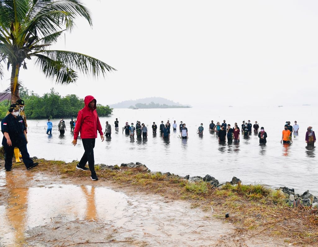 Presiden Jokowi berjalan menuju lokasi penanaman mangrove di Pesisir Setokok, Kota Batam.