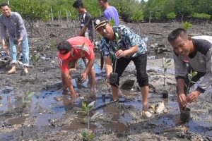 Harapan dari Pesisir Setokok, Menjadikan Jejak Presiden sebagai Ekowisata Mangrove