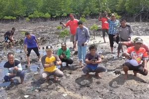 Dari Setokok untuk Bumi, Ribuan Mangrove Ditanam Warga di Hari Lingkungan Hidup Sedunia