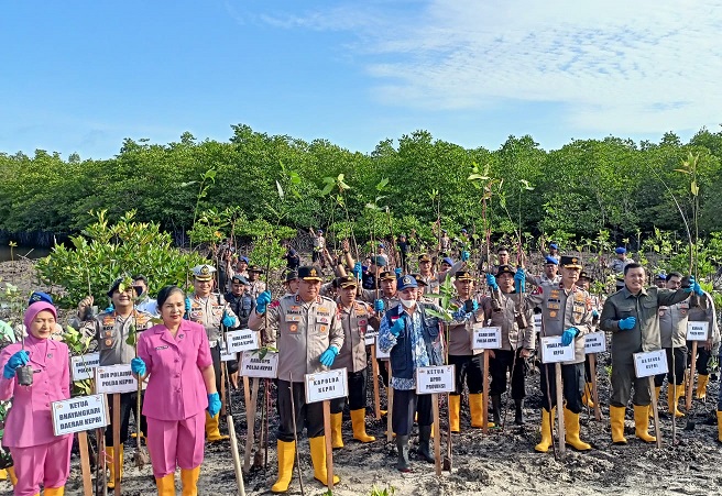 Kapolda Kepri bersama jajaran perwira Polda Kepri melakukan penanaman ribuan mangrove di Setokok.