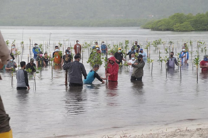 Presiden Joko Widodo melakukan penanaman mangrove di Pantai Setokok, Batam.