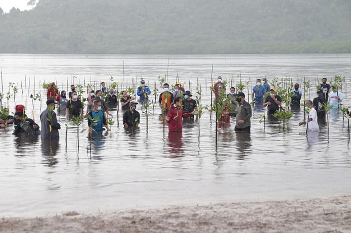 Presiden Joko Widodo melakukan penanaman mangrove di Pantai Setokok, Batam.