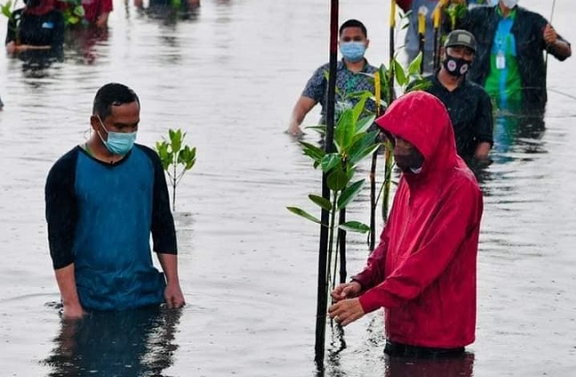 Presiden Joko Widodo melakukan penanaman mangrove di Pantai Setokok, Batam.