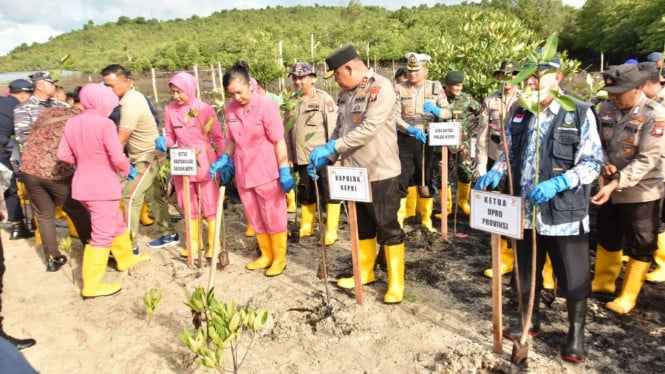 Kapolda Kepri bersama jajaran perwira Polda Kepri melakukan penanaman ribuan mangrove di Setokok.