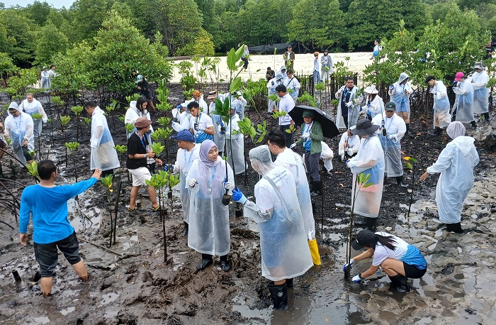 Peserta Lokakarya Regional Ekonomi Biru YSEALI belajar langsung menanam mangrove.