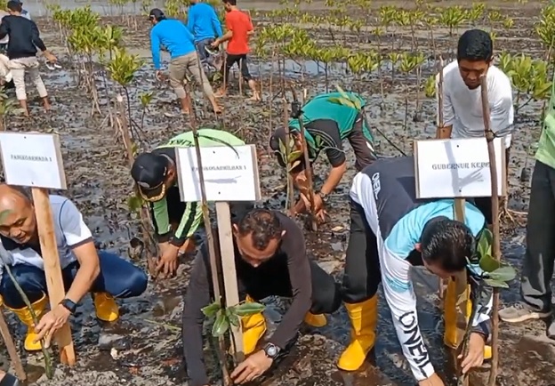 Gubernur Kepri Ansar Ahmad dalam kegiatan penanaman bibit mangrove di pesisir pantai Setokok, Kecamatan Bulang, Kota Batam, Minggu 20 Agustus 2023.