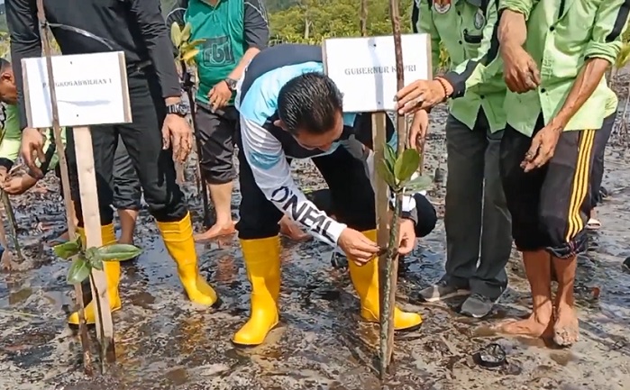 Gubernur Kepri Ansar Ahmad menanam bibit mangrove di pesisir pantai Setokok.