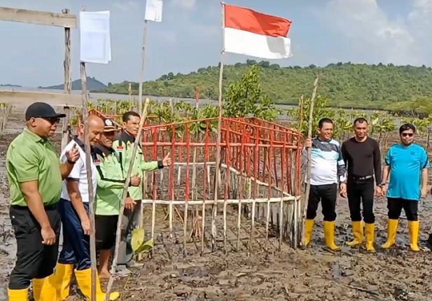 Gubernur Kepri Ansar Ahmad di area penanaman bibit mangrove di pesisir pantai Setokok.