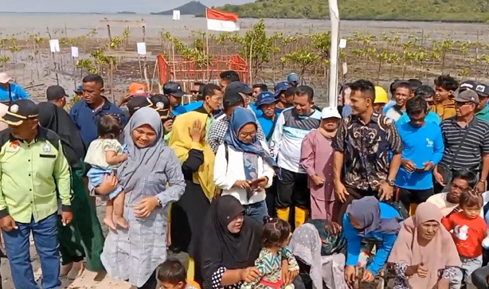 Gubernur Kepri Ansar Ahmad dalam kegiatan penanaman bibit mangrove di pesisir pantai Setokok.