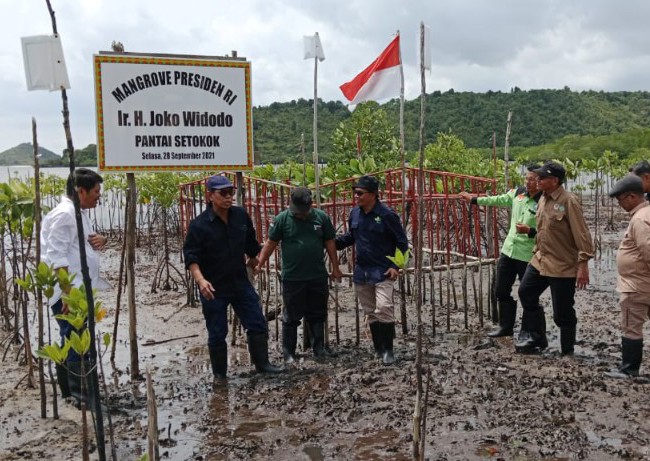 Kawasan konservasi di Ekowisata Mangrove Presiden Setokok, Kota Batam.