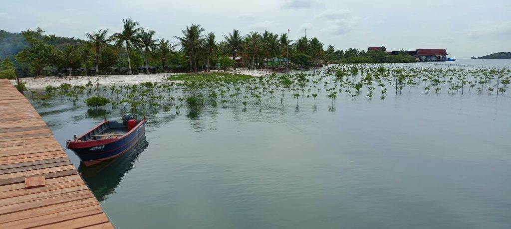Pelestarian kawasan pesisir dengan penananaman mangrove di Setokok Kota Batam (Dokumentasi PLH K Kepri 2021.