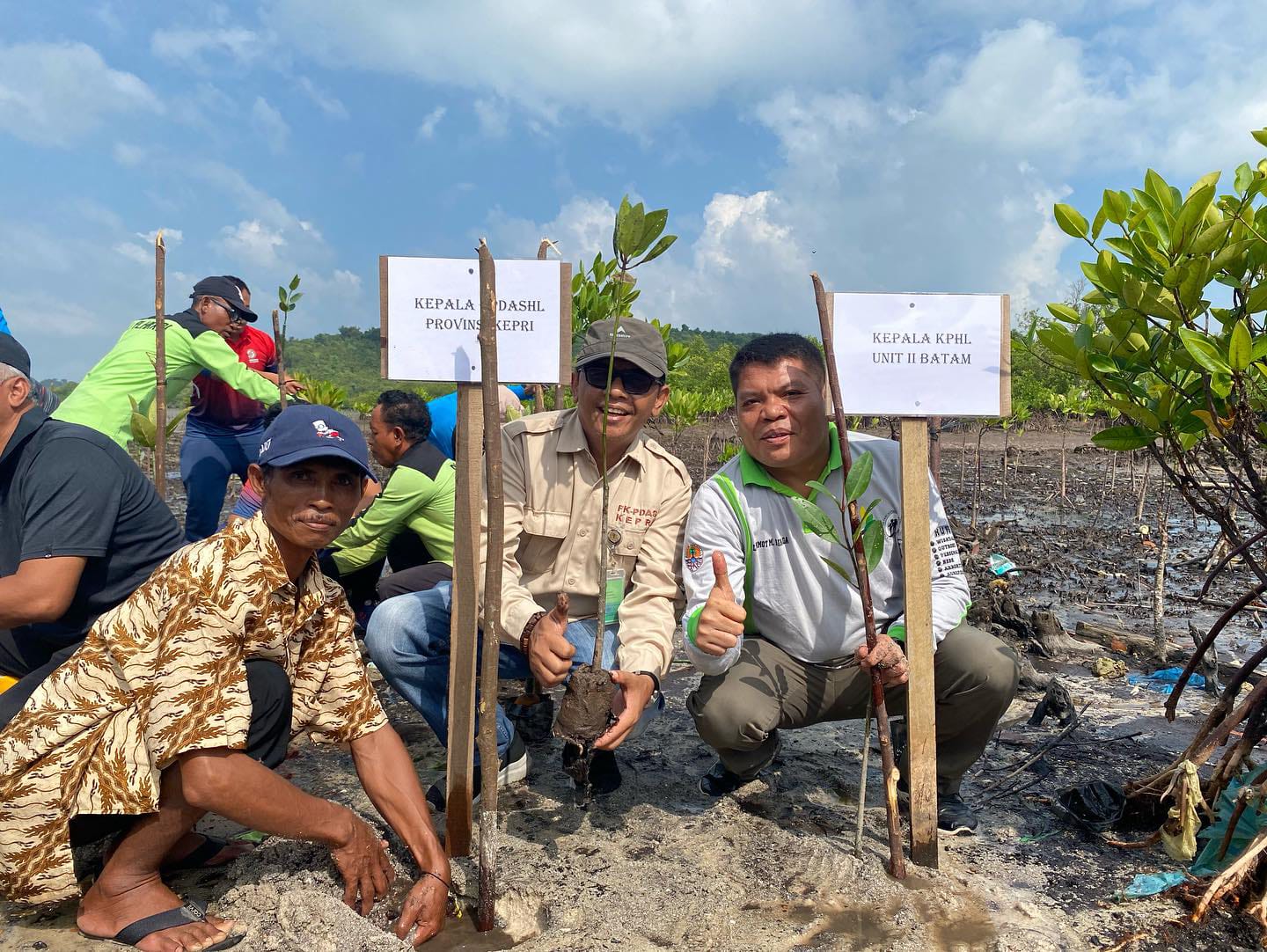 Warga Setokok tanam mangrove bersama Gubernur Kepri di pesisir Setokok, Kota Batam.